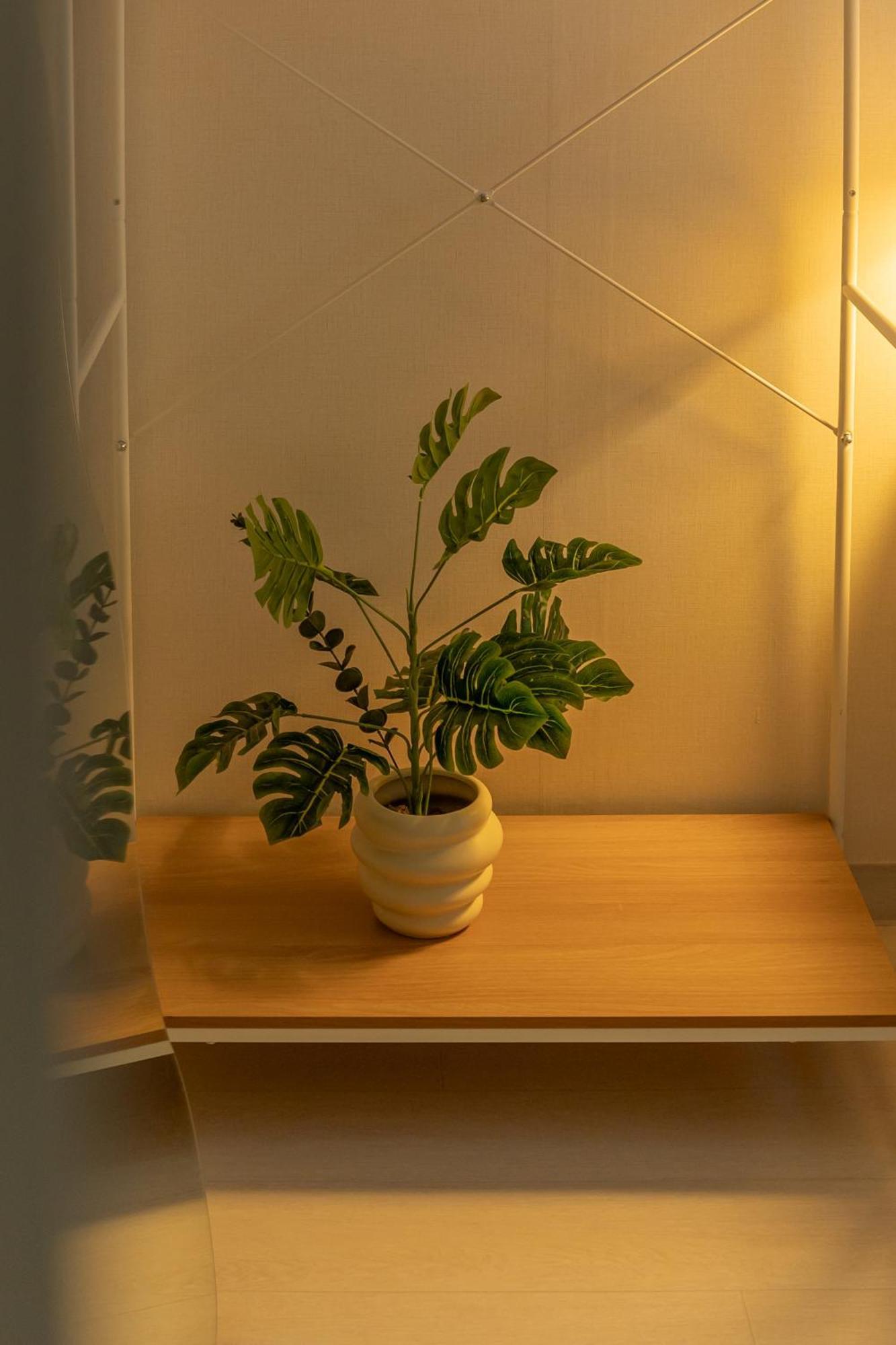 Changdong Apartment *